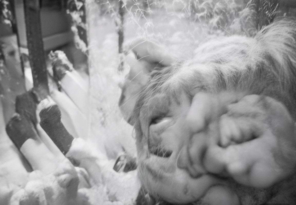 法国与葡萄牙假球事件：揭秘黑幕与影响